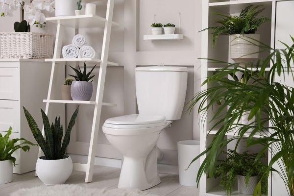 Cost of Toilet Repair in Dayton