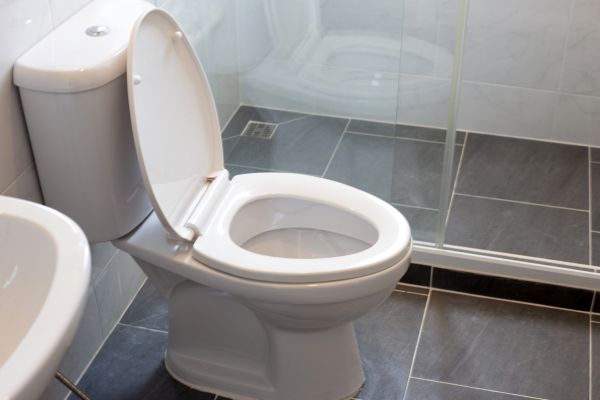 Cost of Toilet Replacement in Dayton