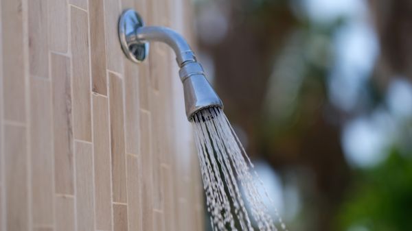 Cost of Showerhead Repair in Dayton